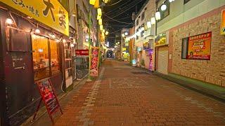 Night walk around Hiratsuka city shrines and the beach・4K HDR