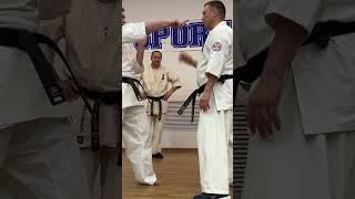 Киокусинкай / Детали Лоукик / Сихан Горохов