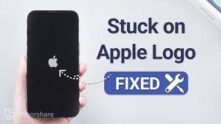 Fixed: iPhone Flashing Apple Logo After Water Damage (No data loss)