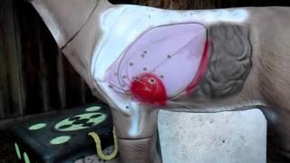 Product review Riverbottom Deer Target