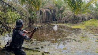 BENAR² MENJADI TTIK BERKUMPULNYA IKAN GABUS || SIAPA PUN PASTI BERHASIL JIKA MANCING DI SPOT INI