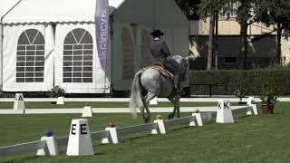 Tiago Alves Working equitation - dressage test one handed