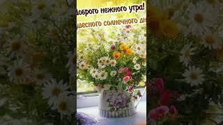 |С ДОБРЫМ УТРОМ |Утро начинается не только с кофе|