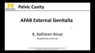 AFAB External Genitalia - Dissection Supplement