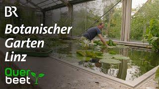 Botanischer Garten Linz