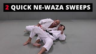 2 Basic Ne-Waza sweeps