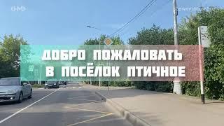 Добро пожаловать в посёлок Птичное