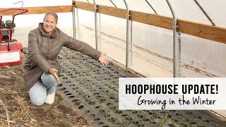 Hoophouse Update!  Winter Growing for Spring Blooms - Sunshine and Flora