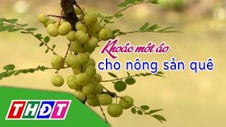 Khoác mới áo cho nông sản quê | Khởi nghiệp - 25/12/2024 | THDT