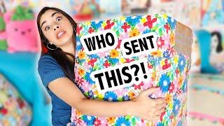 Opening all my BIGGEST Squishy Packages