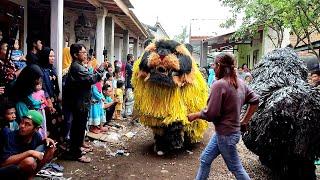 CANMACANAN BESAR New Maong REMAS 2022 tampil di Grujugan | lion dance of java