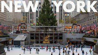 New York City Christmas LIVE Walk: Rockefeller Center Tree & 5th Ave