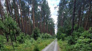 77km ride through Berlin north to the lakes and beautiful forest, on a city hire bike!