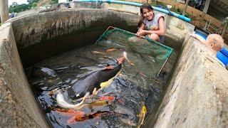 INACREDITÁVEL OLHA ISSO ! -  é muito peixe .