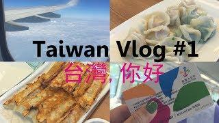 (中字) [대만VLOG] #1 대만여행 다녀왔어요!  台灣, 你好  (팔방운집 만두 먹방) l LISA