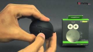 Universal 3.5mm Wired Mini Boom Speaker Review in HD