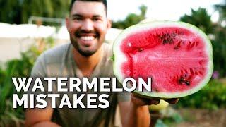 6 Watermelon Growing Mistakes To Avoid 
