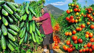 Harvesting 100% Organic Vegetables and Making Lots of Pickle in the Village!