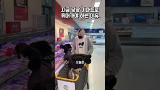 지금 당장 이마트로 뛰어가야 하는 이유?!