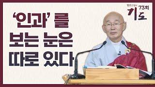 우리는 볼 수 없는 인과, 보는 눈이 따로 있다 [법안스님의 기도 73회]