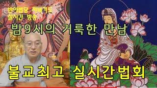 비대면 실시간기도의 정석 / 금우스님의 기도와 법문, 축원과 소통이 함께하는 명품기도법회