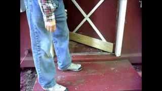 Repairing My Shed Door