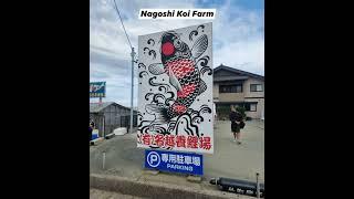 NISAI HANDPICK 2023 - NAGOSHI