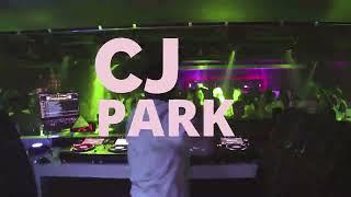 CJ PARK opens up for Steve Aoki