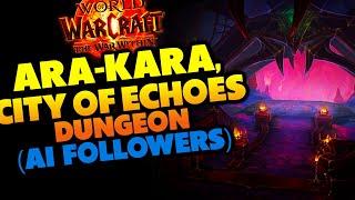 Ara-Kara, City of Echoes Dungeon with AI Followers