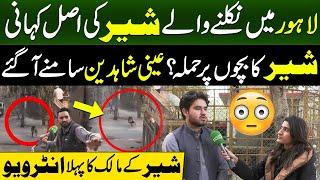 Lion In lahore Streets | Owners Exclusive Interview | Discover Pakistan