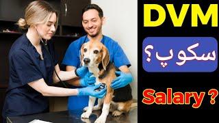 Scope of DVM in Pakistan | DVM | Universities offering Doctor of Veterinary Medicine