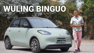 Wuling Binguo New City EV in Nepal with good range | Wuling Bingo | बिजुली गाडी | Lokesh Oli