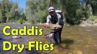 Finding an Epic Afternoon of Caddis Dry Fly Fishing