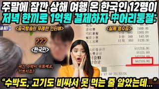 중국반응│주말에 잠깐 상하이 여행 다녀오는 한국인들│한국인 여행객 12명이 한끼 1억원 결제하자 중국반응│한국인 대상 중국 방송국에 무례한 인터뷰│중국어로[路]