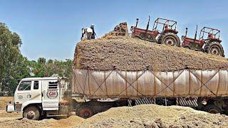 Check The Skill of Loading Sugarcane Bagasse Pk Technology