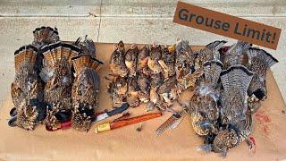 October Grouse And Woodcock 1 | First Ever Limit Of Grouse!