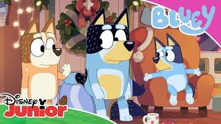 Bluey |  Cadeautje met Kerst | Disney Junior BE