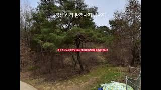 의성명당묘터 임야 710㎡ 매2200만​산자락끝부분  부동산급매물구합니다.