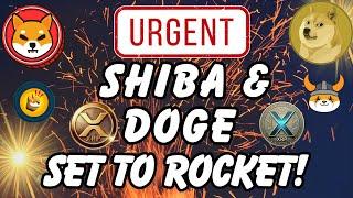 URGENT!  Shiba Inu Coin Price Prediction! Dogecoin To Make Millionaires 2025!