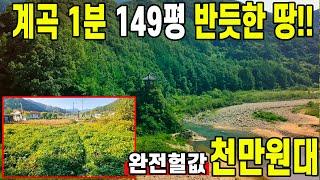 "주말 농장 꿈꾸는 여러분! 계곡 인근 149평땅이 완전 폭락하여 단돈 1500만원입니다. 일단 보시고 판단하세요~"