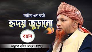 আজিব কন্ঠে বয়ান কলিজা শীতল হয়ে যায় শুনলে | Nazir Ahmed Waz 2024 | মাওলানা নজির আহমদ টঙ্গী