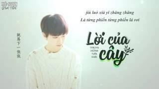 [Vietsub Audio] TFBOYS Vương Tuấn Khải (Wang JunKai - 王俊凯) - Lời của cây (树读)