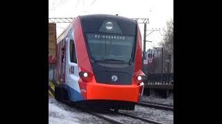 эдит иволга