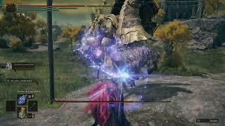 Elden Ring Tree Sentinel boss NG1