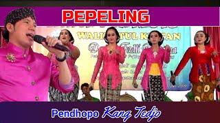 PENDOPO KANG TEJO #pepeling#,#dimastedjo#