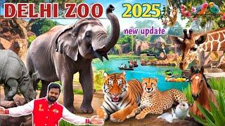 Delhi zoo 2025 | delhi chidiyaghar | national zoological park | Delhi zoo friday closed