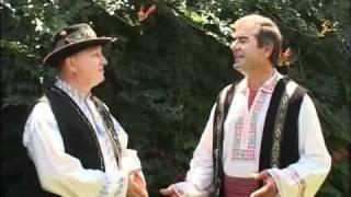 Nicolae Pavel - Unde ai fost vecine aseara (duet cu Aurel Sava)