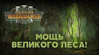 Лесные Эльфы. Фракции Total War Warhammer 3