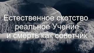 Естественное скотство, реальное Учение и Смерть как советчик