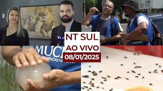 NT SUL AO VIVO 08-01-2025